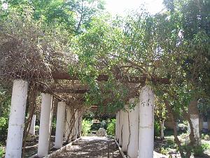 AIN TEMOUCHENT JARDIN PUBLIC 042